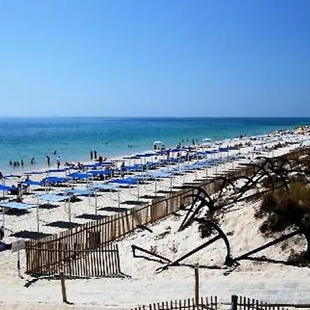 Lejlighed Cosy Loft Pedras Del Rei *